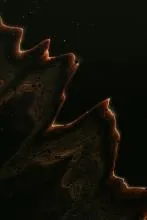 abstract background